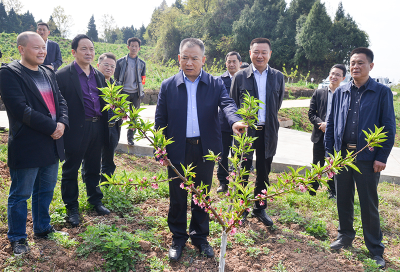 陈正永赴香溪,张家,清水乡督导调研-四川省建设快讯