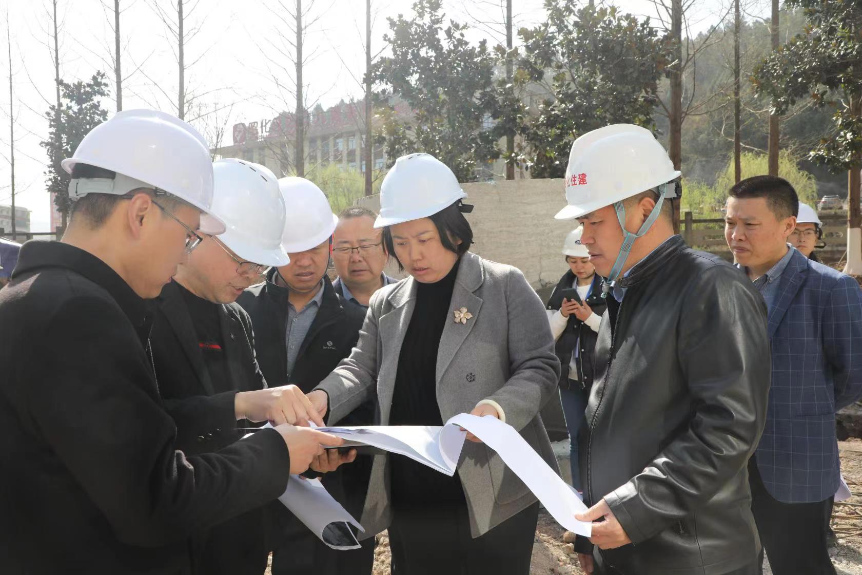 王静在专题调研东部新城项目建设时强调要坚持规划引领 提升建管水平 全力打造高品质宜居新城