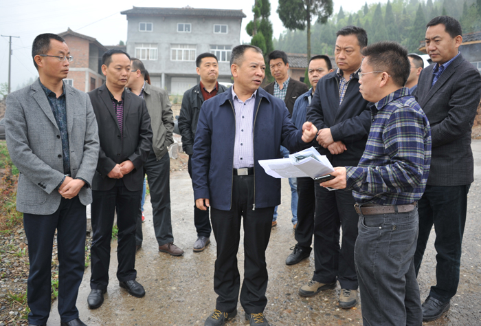 陈正永在朝阳乡南马村了解产业和新村聚居点建设情况.jpg