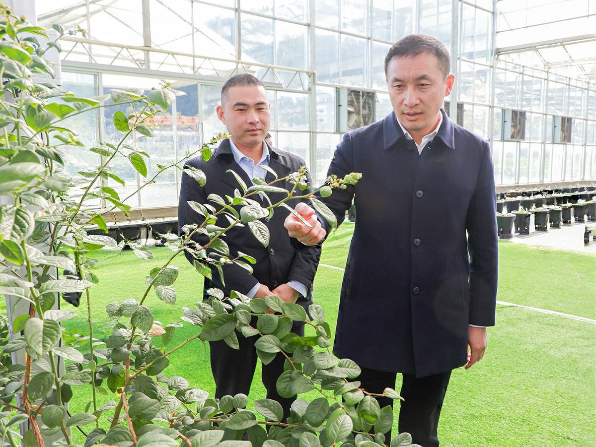 辛俊调研巩固拓展脱贫攻坚成果同乡村振兴有效衔接工作