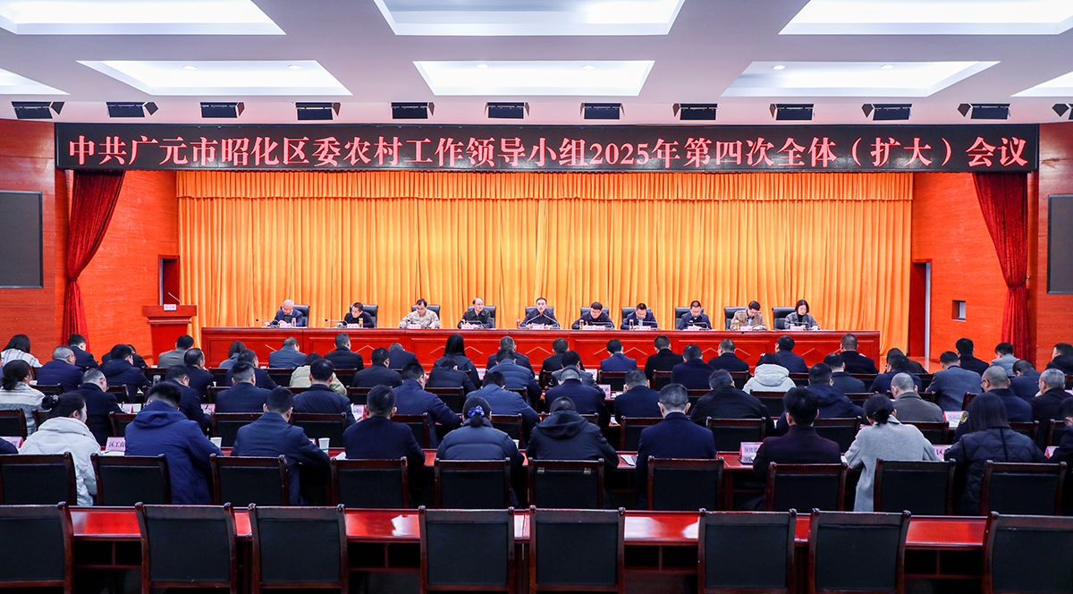 区委农村工作领导小组2025年第四次全体（扩大）会议召开