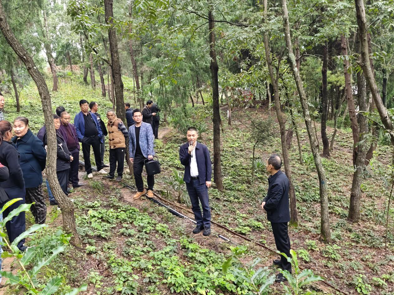 卫子镇召开2025年发展林下经济助推乡村振兴现场会