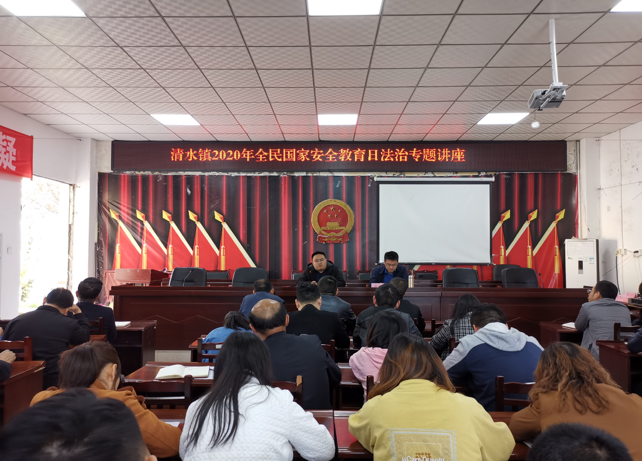 清水镇开展全民国家安全教育日法治宣传活动