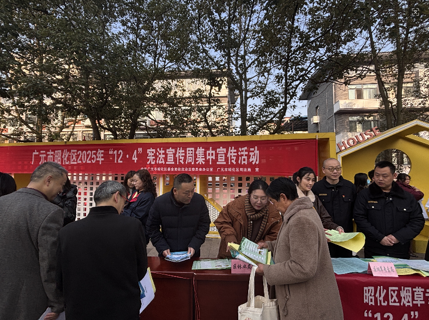昭化区林业局开展2025年宪法宣传日集中宣传活动点燃学法热情