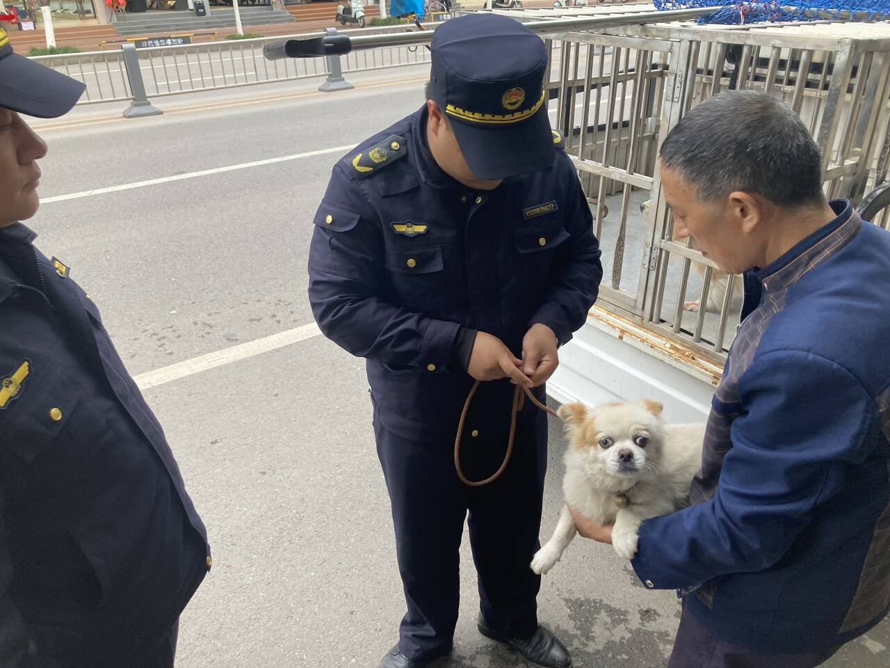 集中整治流浪犬，让文明养犬成风尚